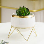 Eclat Ceramic White Planter With Stand Large Nestasia