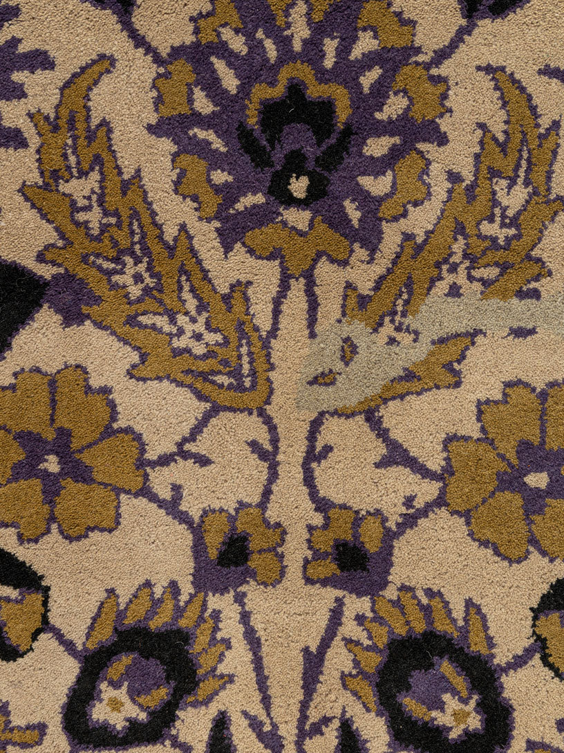 Kunzer Wool Tufted Carpet Contrast Living