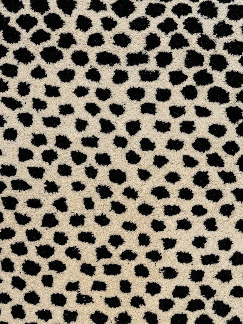 Chitra Wool Tufted Carpet Contrast Living