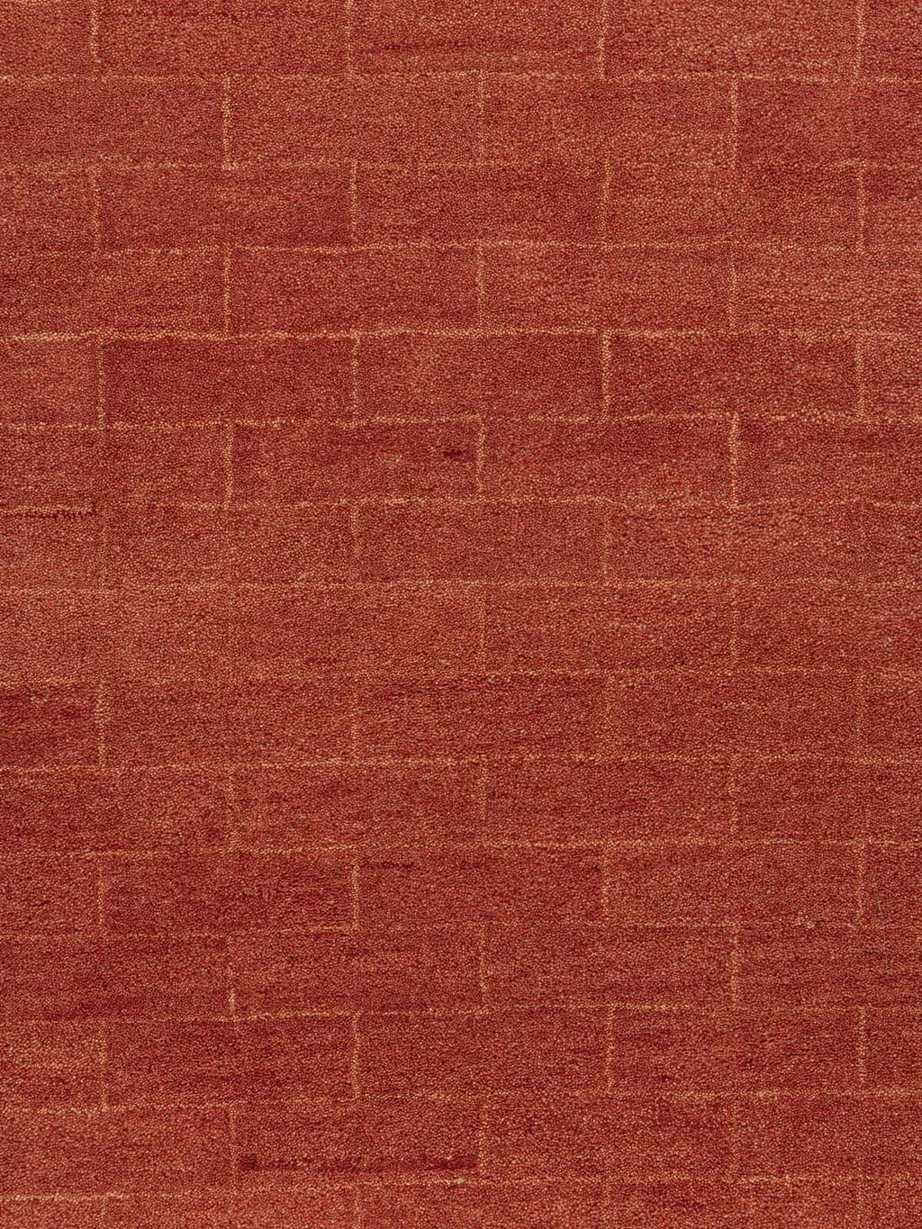 Buniyaad Wool Tufted Carpet Contrast Living