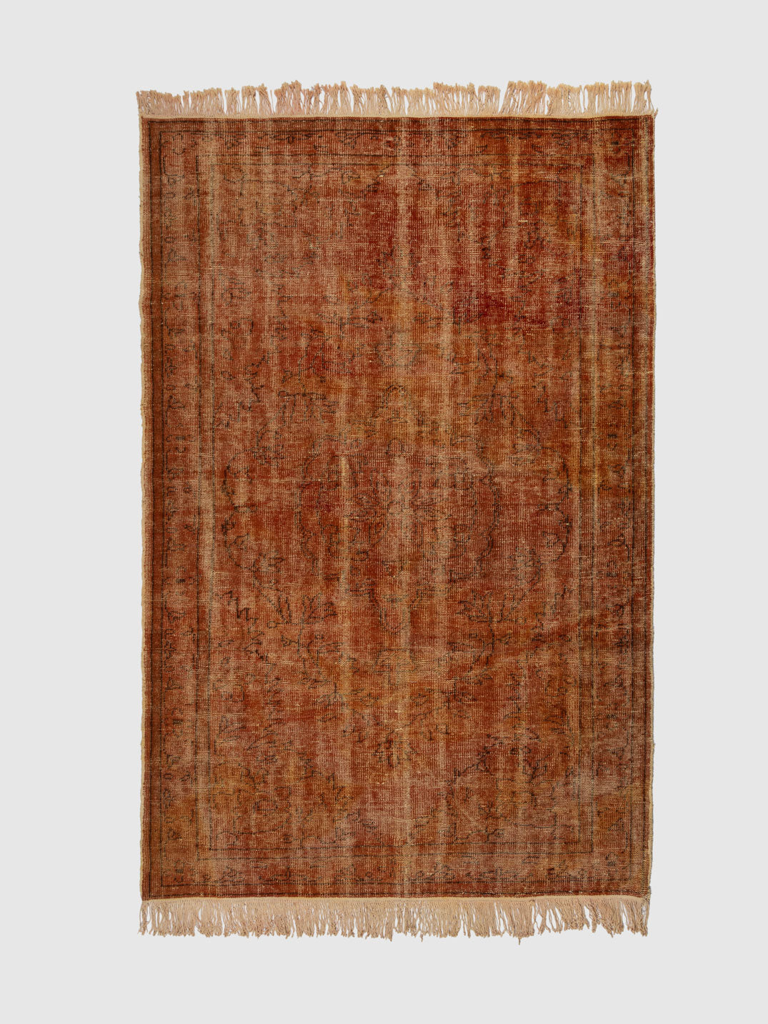 Sulawes Wool Knotted Carpet Contrast Living