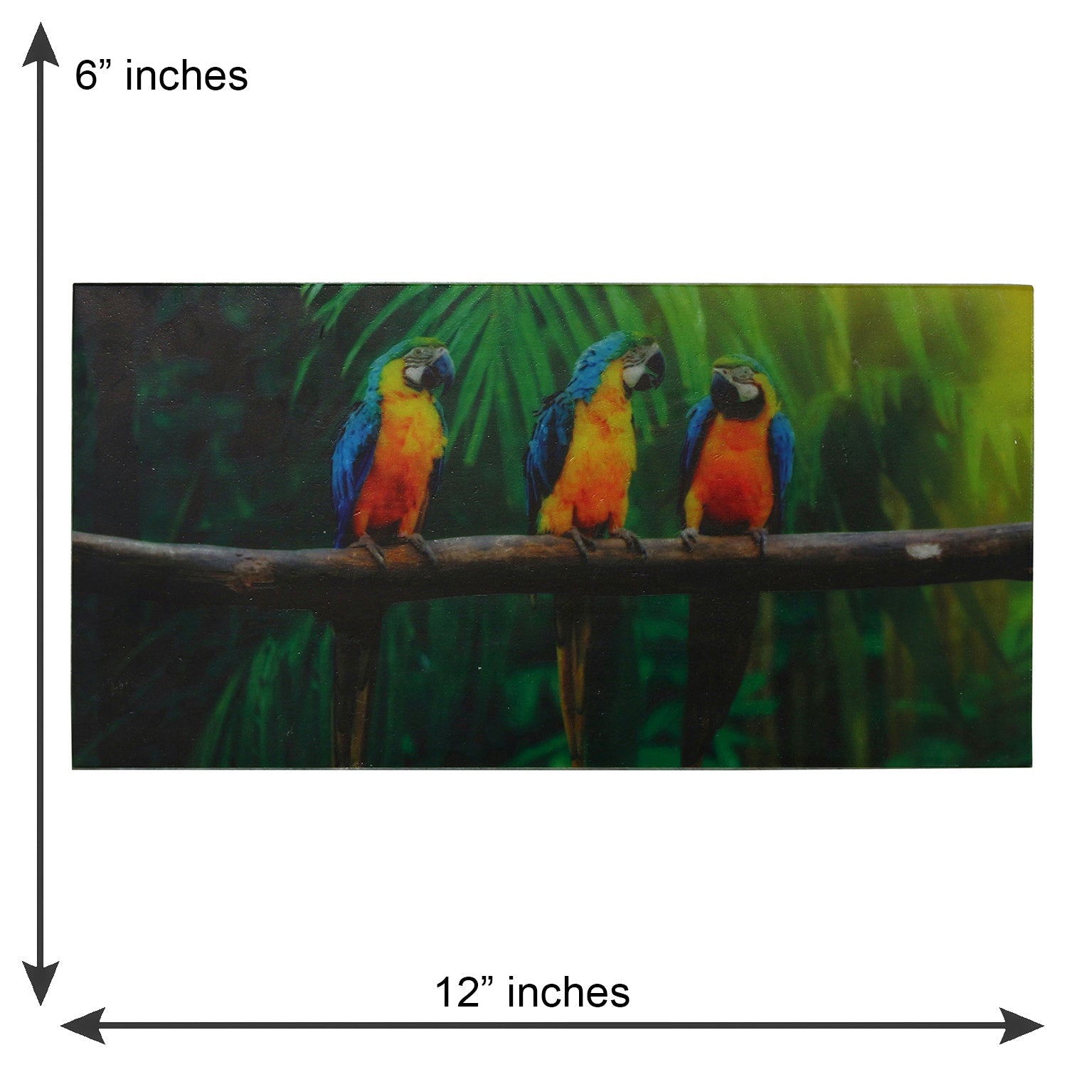 Colorful Birds on Tree Branch Painting On Marble Rectangle Tile Kafalo