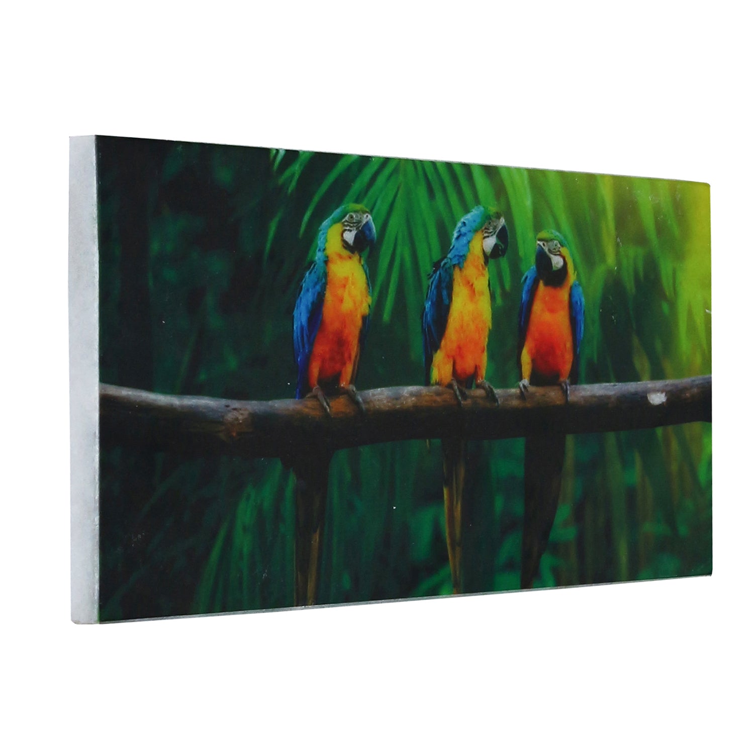 Colorful Birds on Tree Branch Painting On Marble Rectangle Tile Kafalo