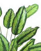 Lifelike Potted Greenery for Tabletop, Office Desk, and Interior Decoration