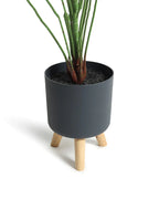 Lifelike Potted Greenery for Tabletop, Office Desk, and Interior Decoration
