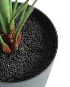 Lifelike Potted Greenery for Tabletop, Office Desk, and Interior Decoration