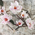 Magnolia Vine Nestasia