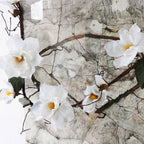 Magnolia Vine Nestasia