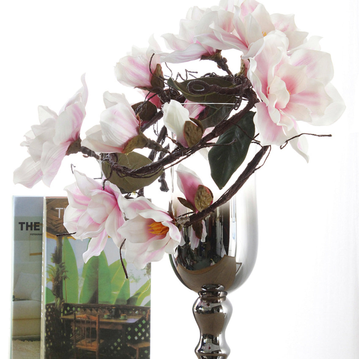 Magnolia Vine Nestasia