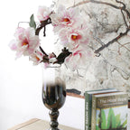Magnolia Vine Nestasia