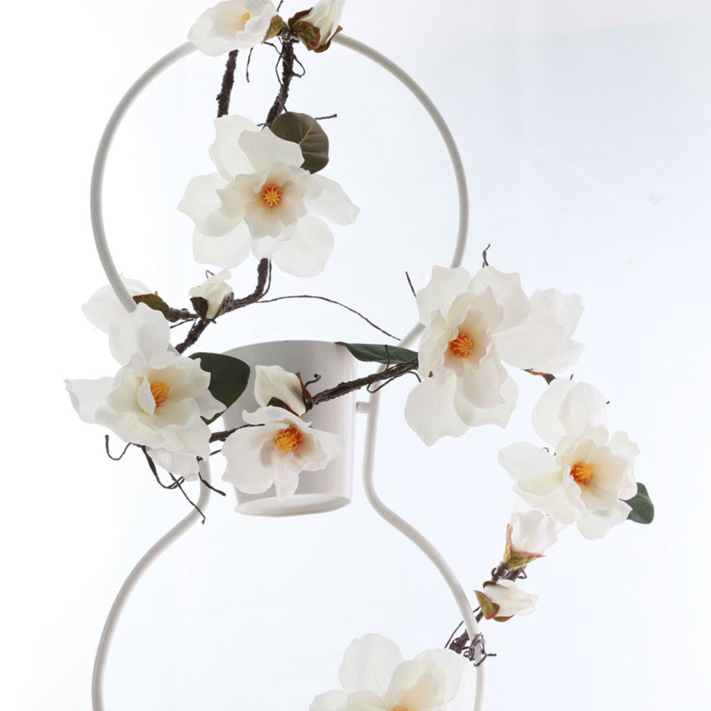 Magnolia Vine Nestasia