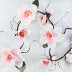 Magnolia Vine Nestasia