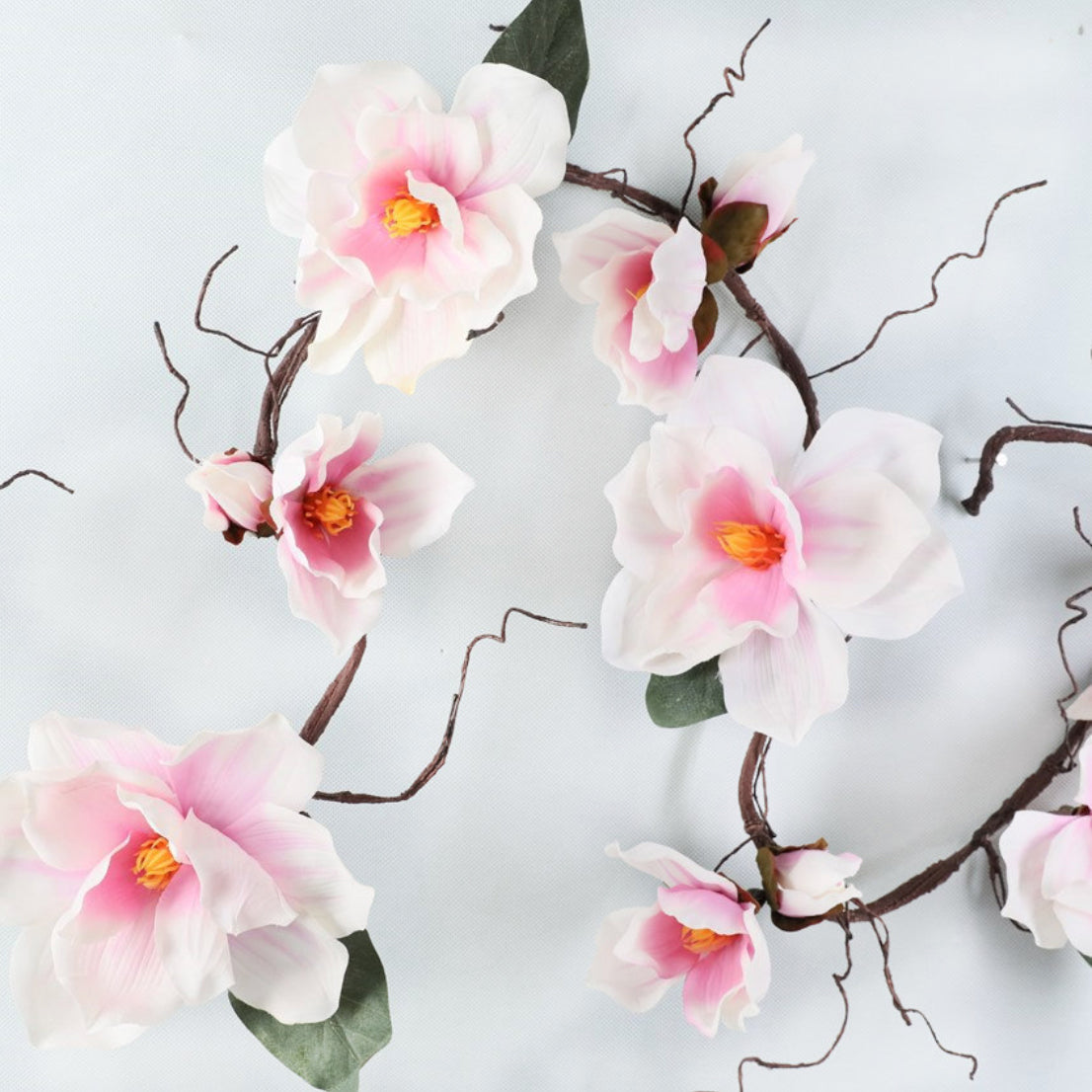 Magnolia Vine Nestasia