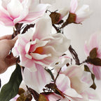 Magnolia Vine Nestasia