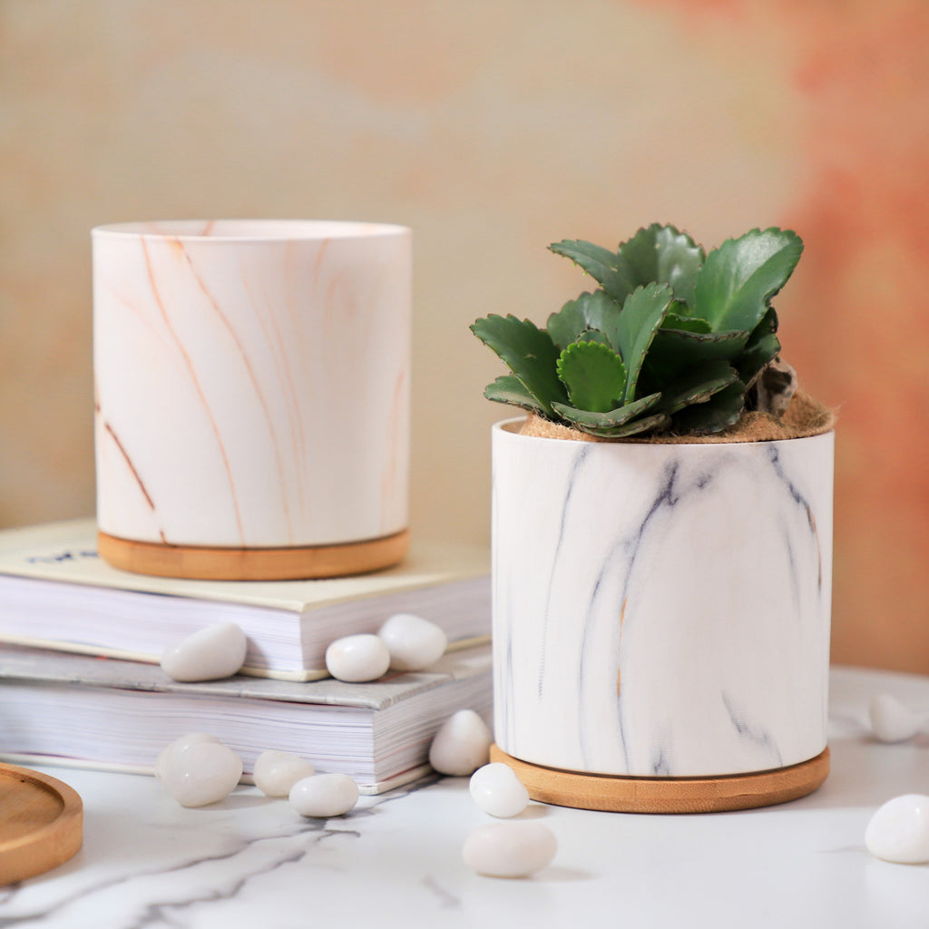 Marble Planter Nestasia