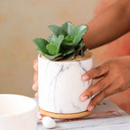 Marble Planter Nestasia
