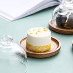 Mini Cake Stand With Dome Nestasia