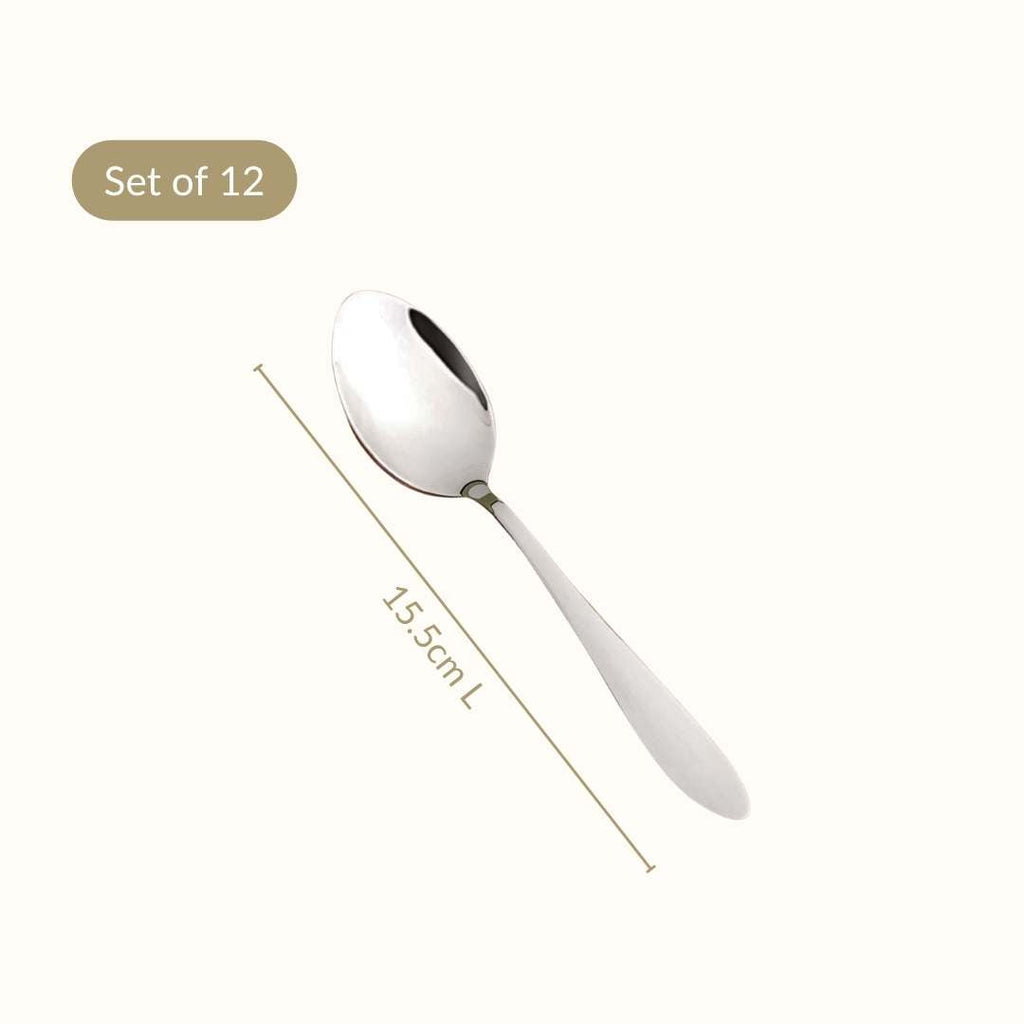 Mirror Finish Spoon Set Of 12 Nestasia