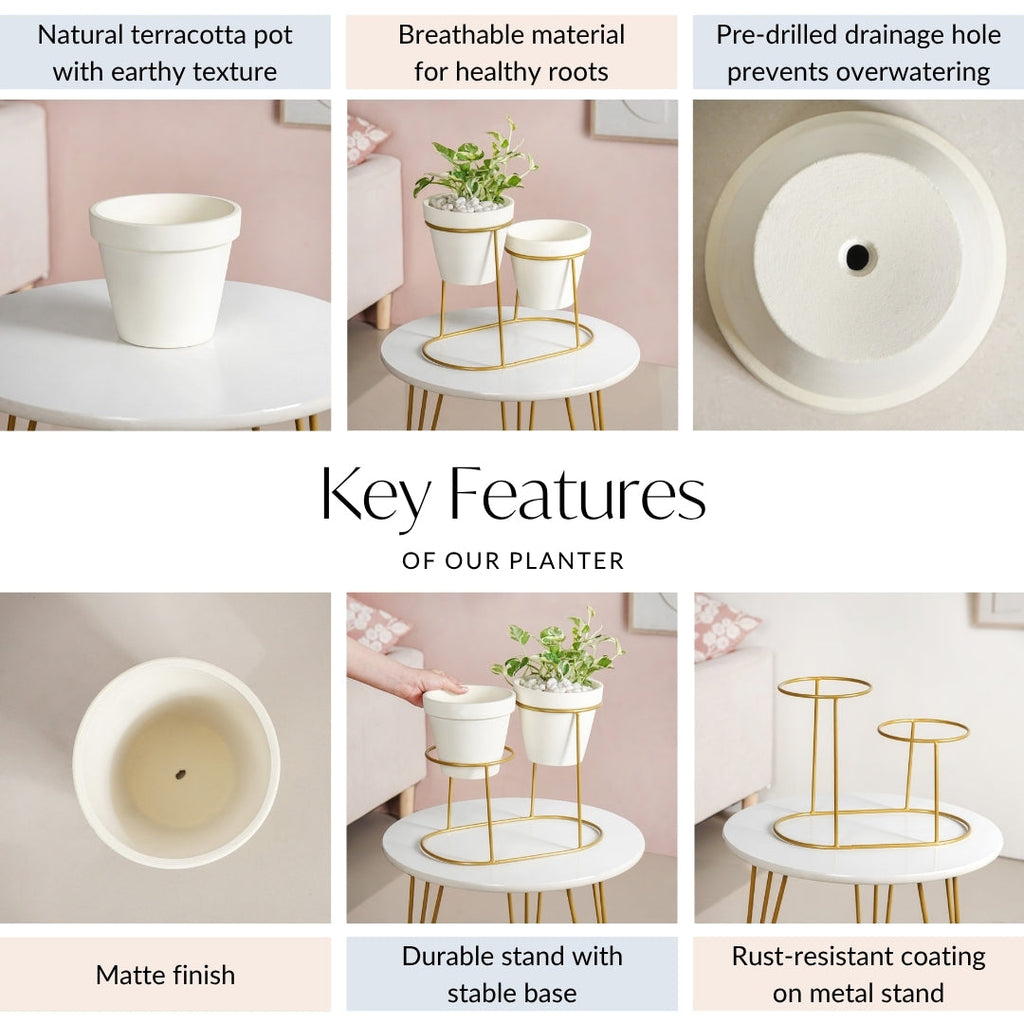 TerraDuo Modern Two Tier Gold Stand With White Planters Nestasia