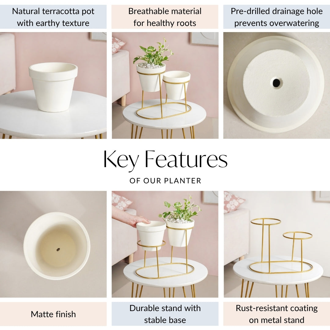 TerraDuo Modern Two Tier Gold Stand With White Planters Nestasia
