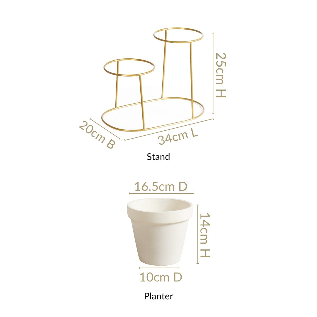 TerraDuo Modern Two Tier Gold Stand With White Planters Nestasia