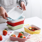 Ceramic Baking Dish Nestasia