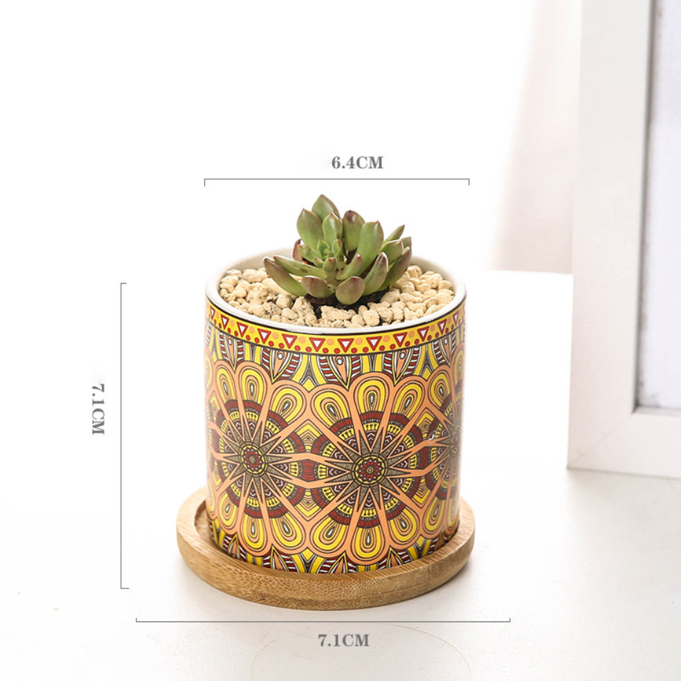 House Plant Pots Nestasia