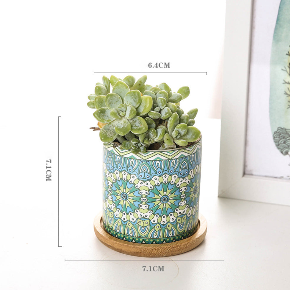 House Plant Pots Nestasia