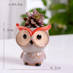 Owl Planter Nestasia