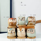 Owl Planters Set of 6 Nestasia