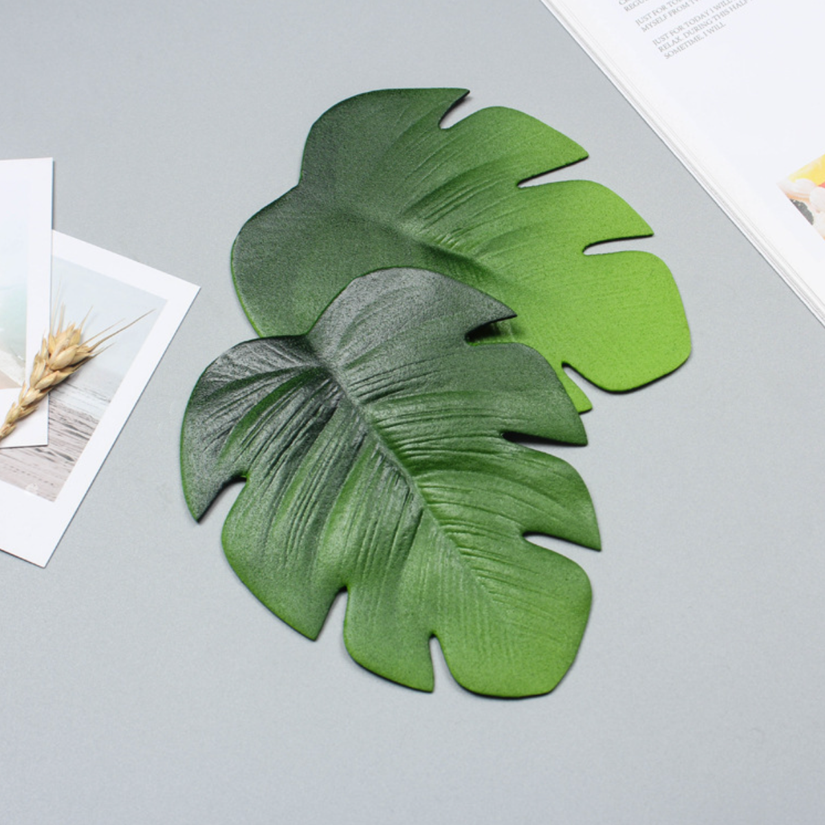 Palm Leaf Coaster Set of 6 Nestasia