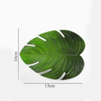 Palm Leaf Coaster Set of 6 Nestasia