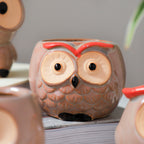 Owl Planter Nestasia