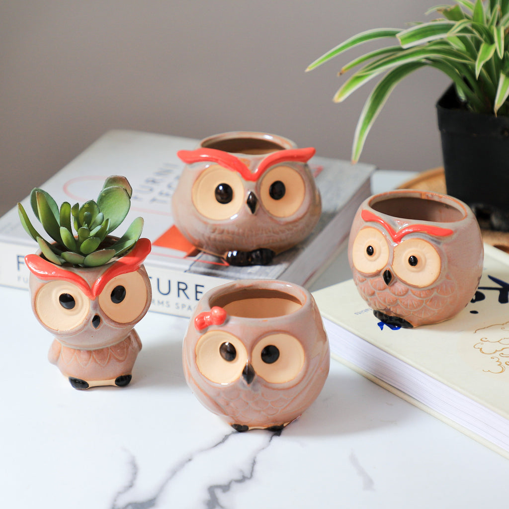 Owl Planter Nestasia