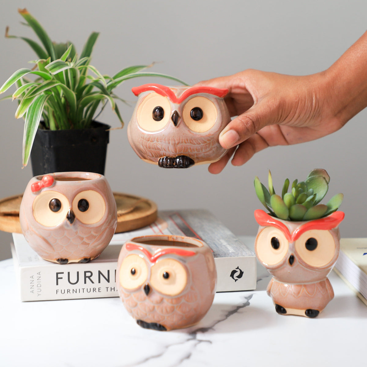 Owl Planter Nestasia