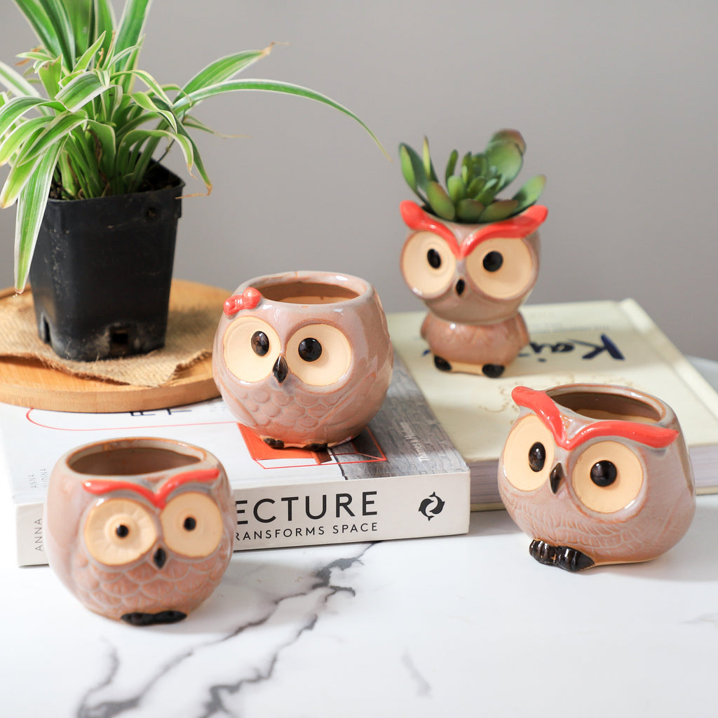 Owl Planter Nestasia