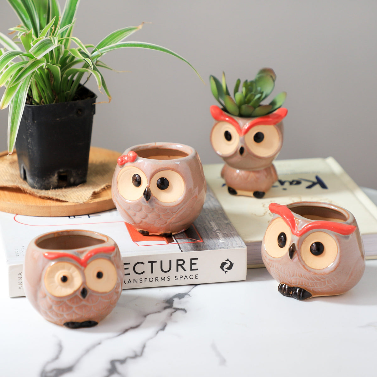 Owl Planter Nestasia