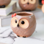 Owl Planter Nestasia
