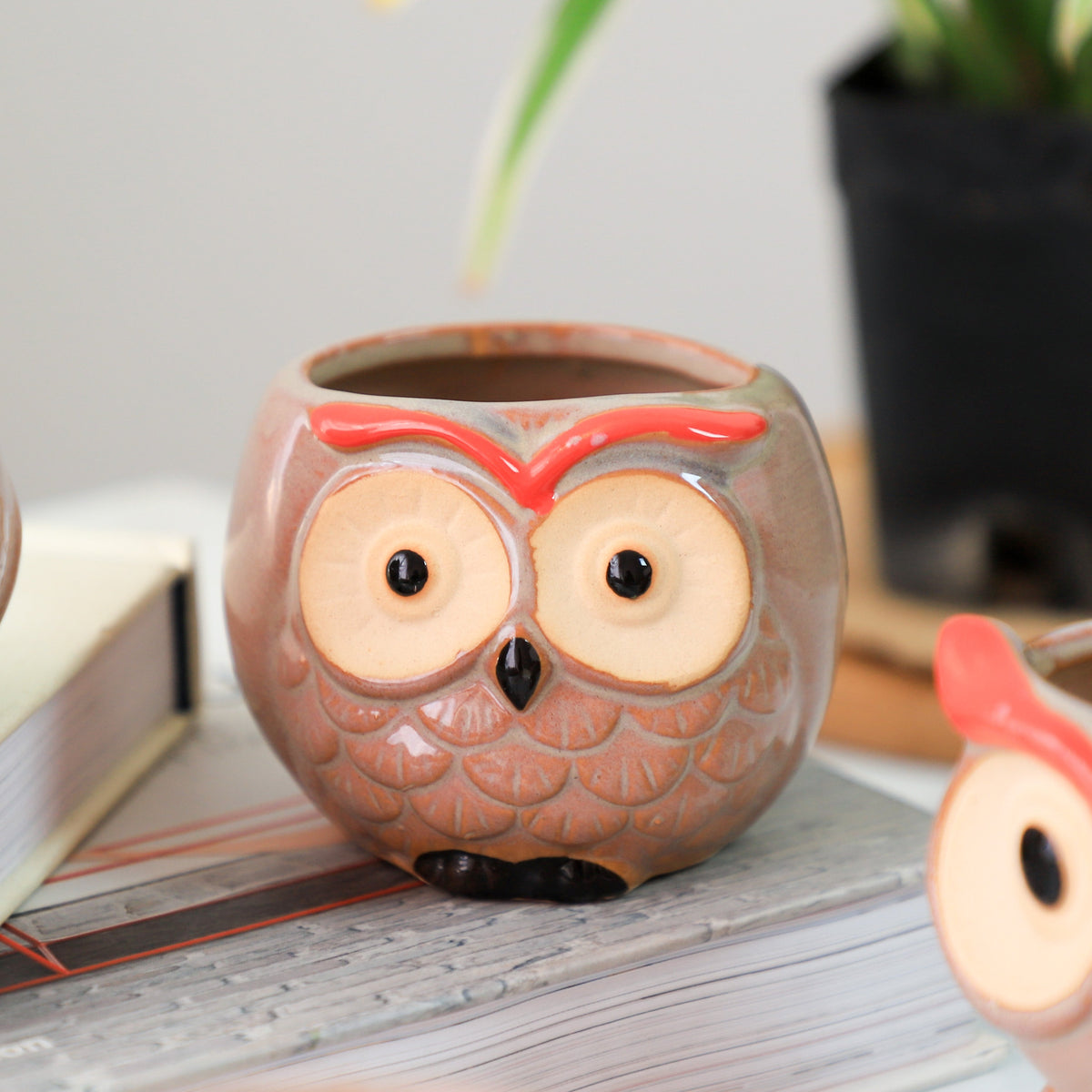 Owl Planter Nestasia