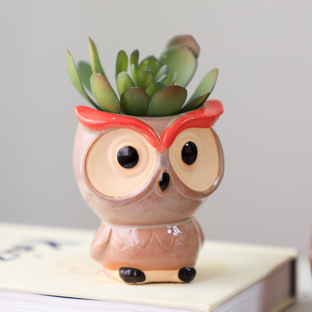 Owl Planter Nestasia