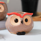 Owl Planter Nestasia