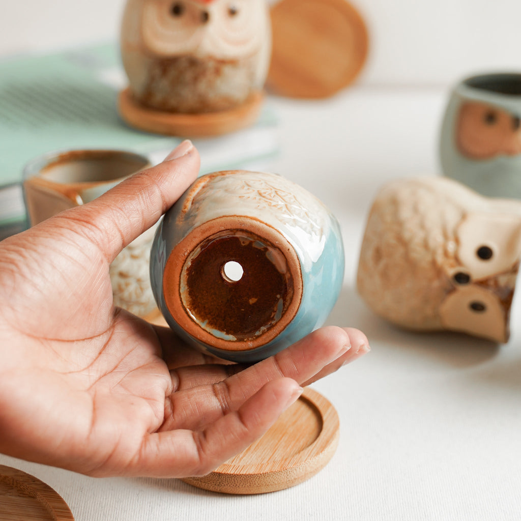 Owl Planters Set of 6 Nestasia