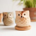 Owl Planters Set of 6 Nestasia