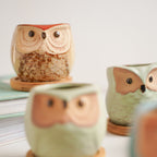 Owl Planters Set of 6 Nestasia