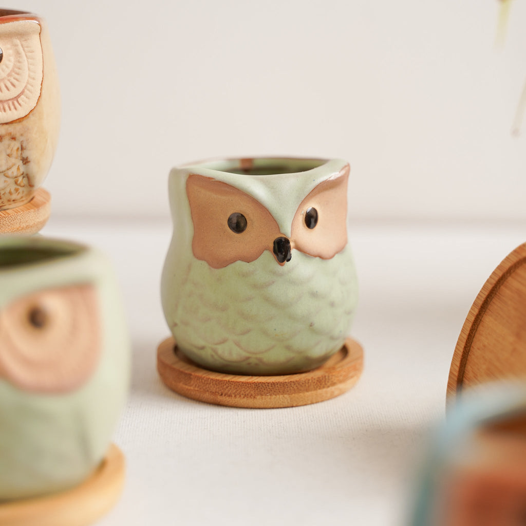 Owl Planters Set of 6 Nestasia