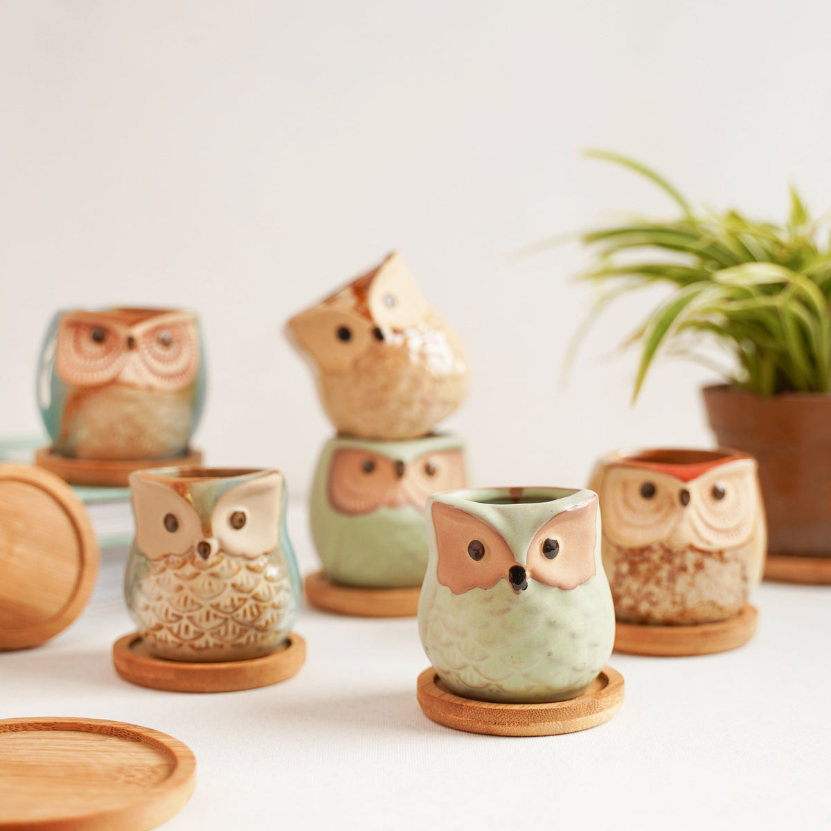 Owl Planters Set of 6 Nestasia