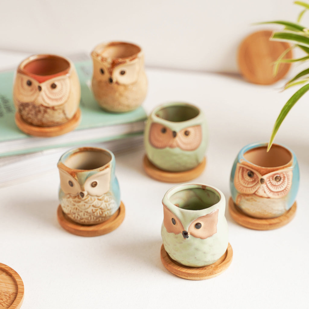 Owl Planters Set of 6 Nestasia