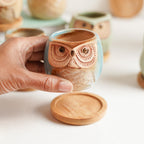 Owl Planters Set of 6 Nestasia