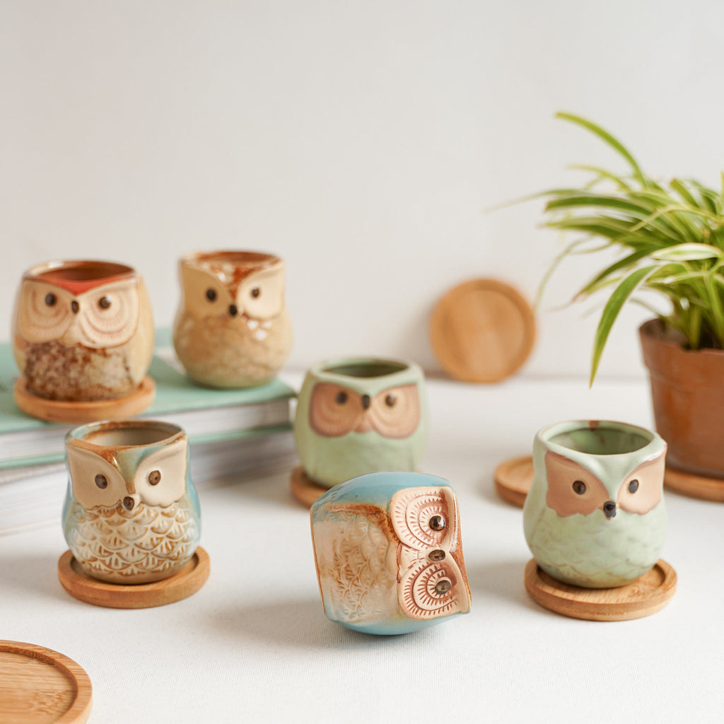 Owl Planters Set of 6 Nestasia