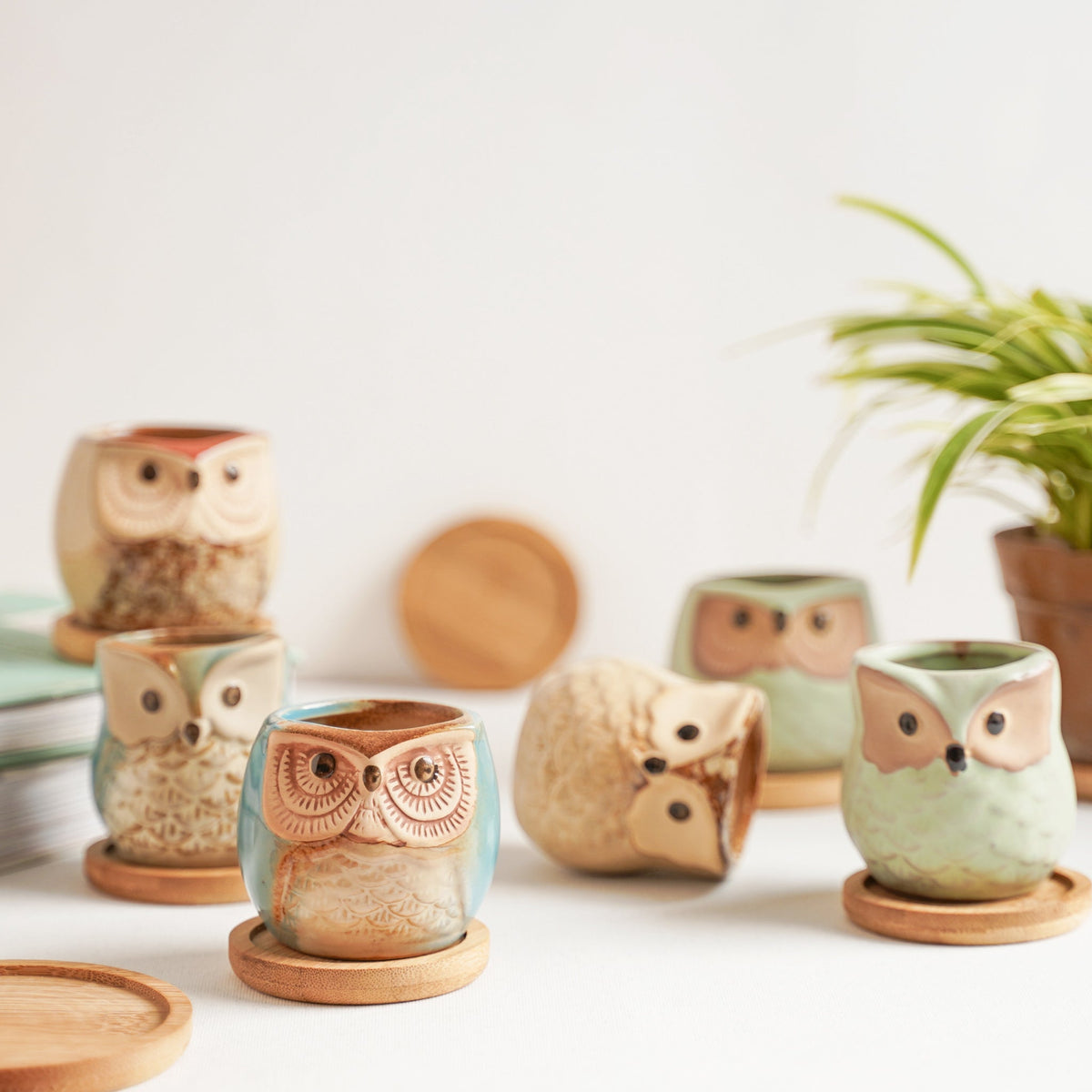 Owl Planters Set of 6 Nestasia